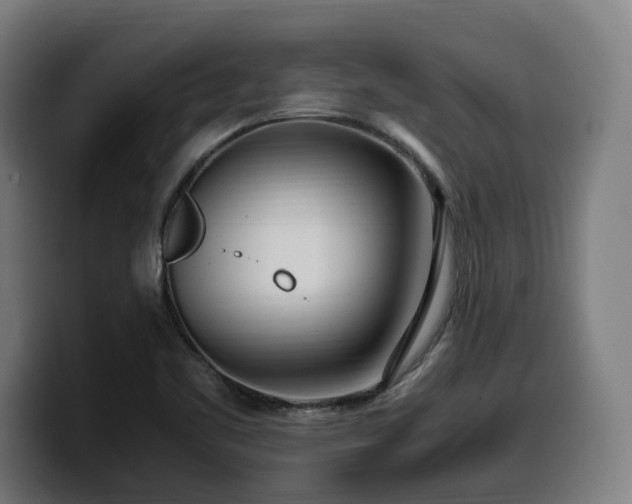 X0000099931461200805301149