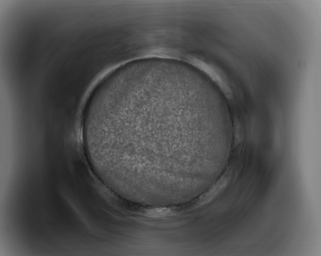 X0000099931462200805301149