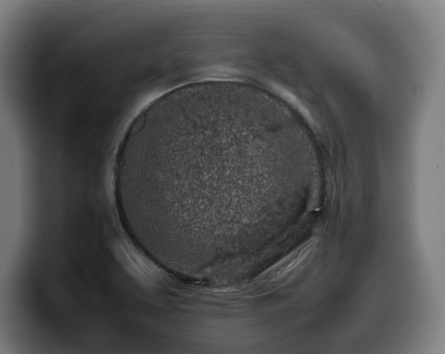 X0000099931463200805301149