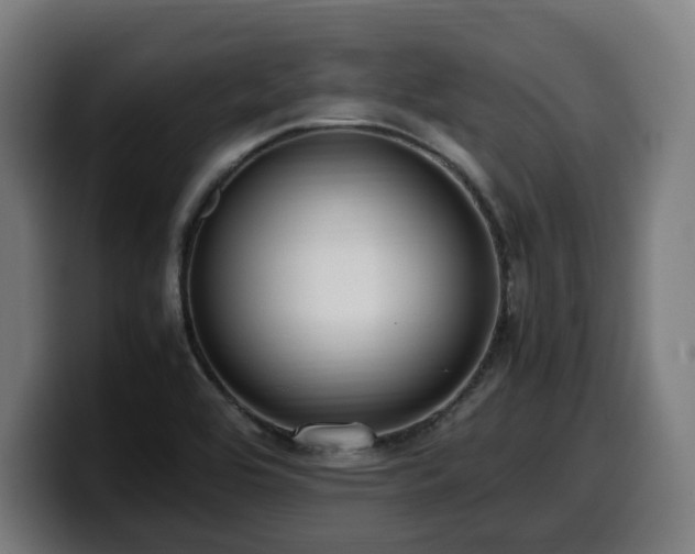 X0000099931464200805301149