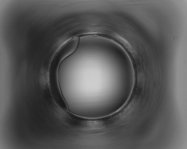 X0000099931465200805301149