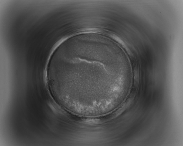 X0000099931466200805301149