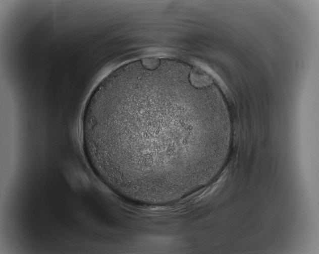 X0000099931467200805301149