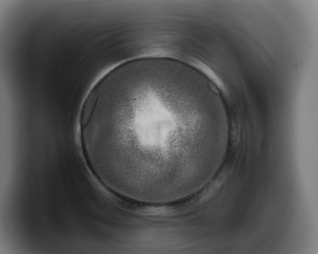 X0000099931468200805301149