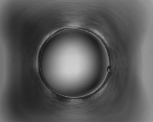 X0000099931469200805301149