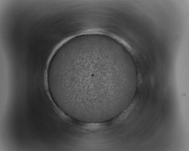 X0000099931470200805301149