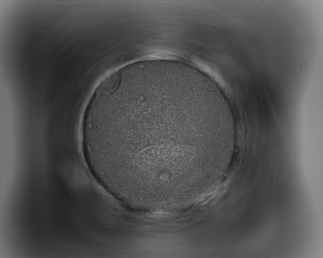 X0000099931471200805301149