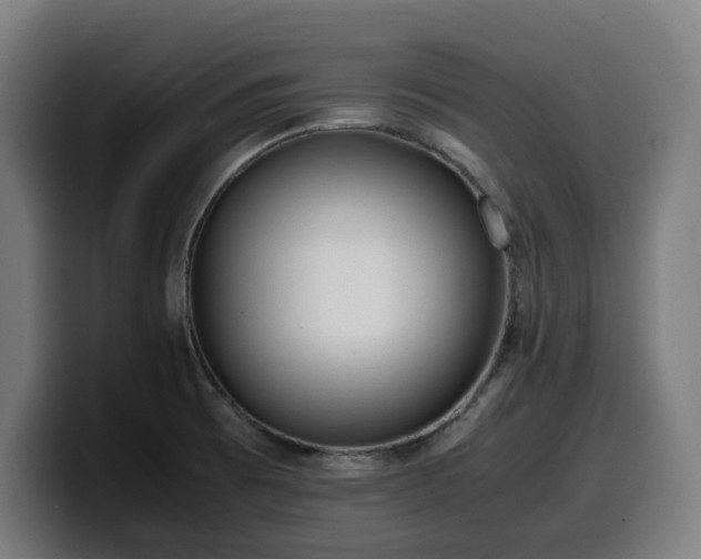 X0000099931473200805301149