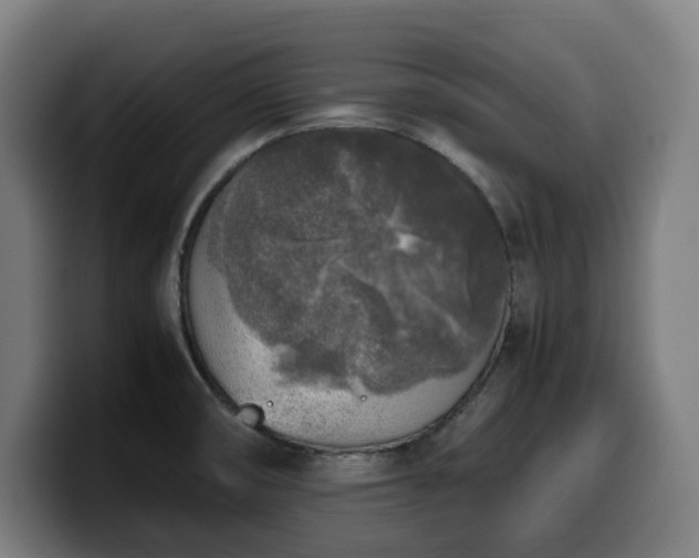 X0000099931474200805301149