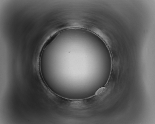 X0000099931477200805301149