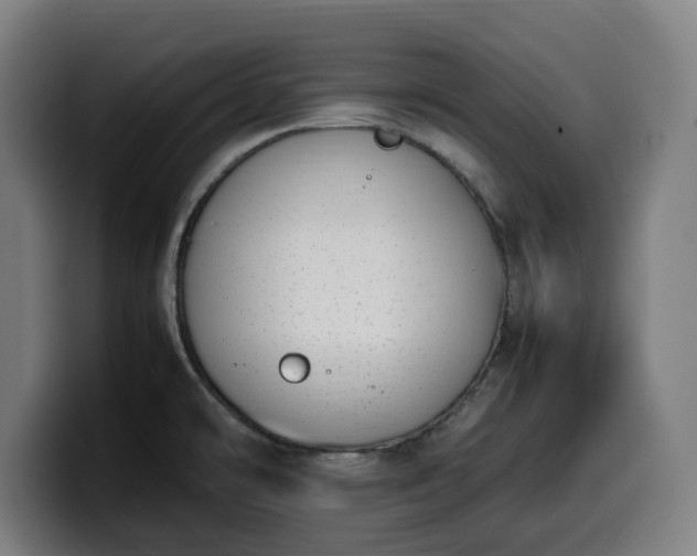 X0000099931478200805301149