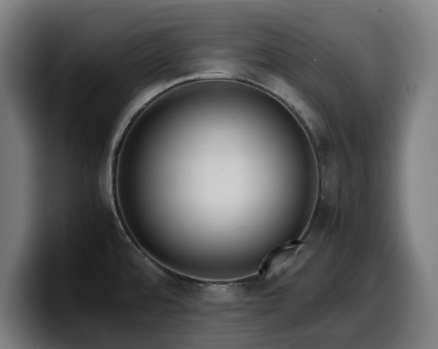 X0000099931480200805301149