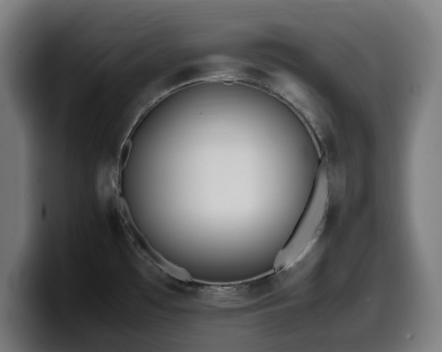 X0000099931481200805301149