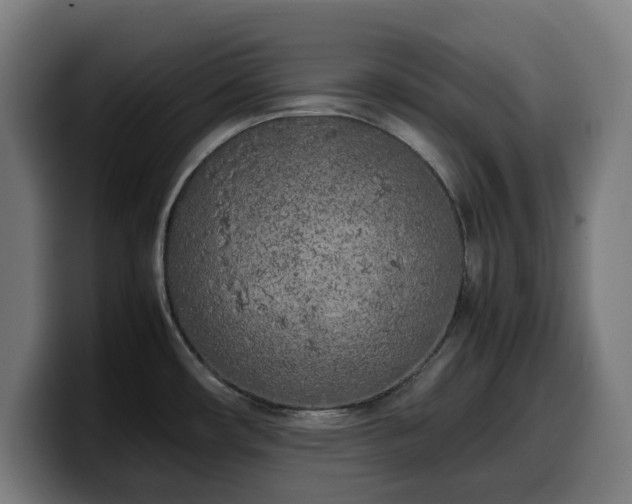 X0000099931482200805301149