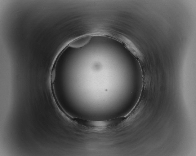 X0000099931484200805301149