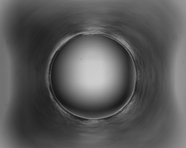 X0000099931485200805301149