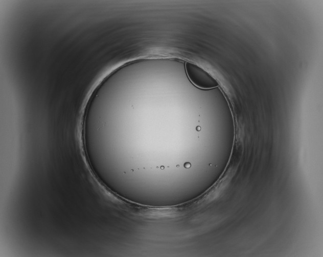 X0000099931486200805301149