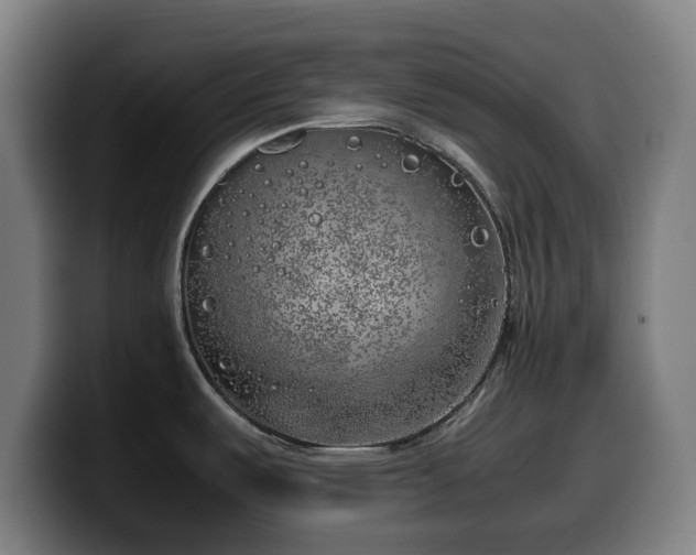 X0000099931487200805301149