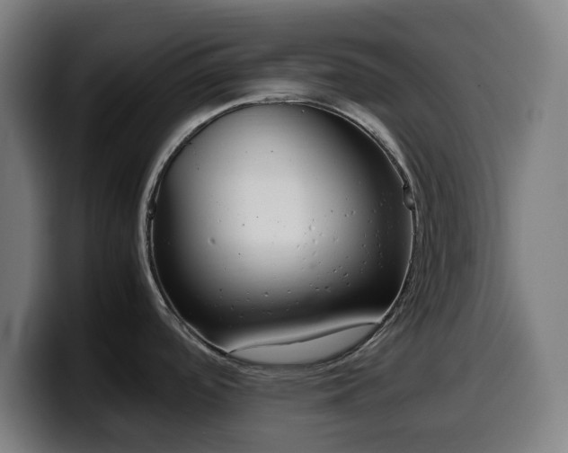 X0000099931488200805301149