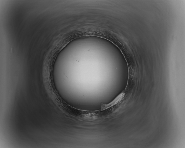 X0000099931489200805301148