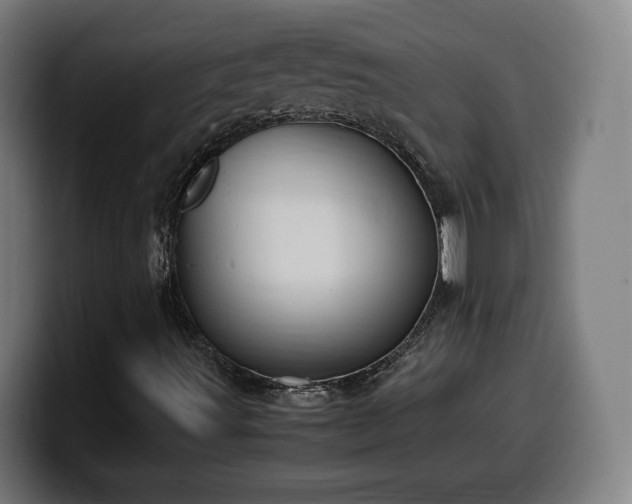 X0000099931491200805301148