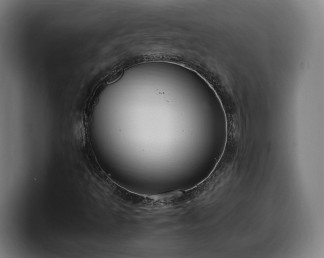 X0000099931493200805301148