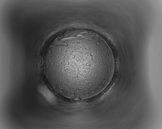 X0000099931494200805301148