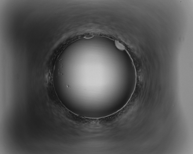 X0000099931495200805301148