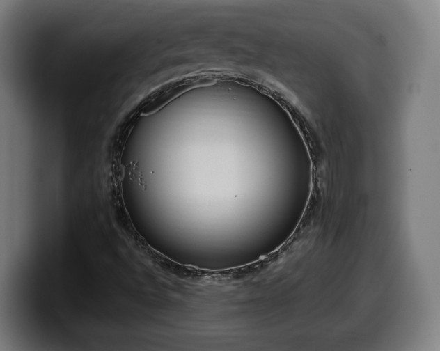 X0000099931496200805301148