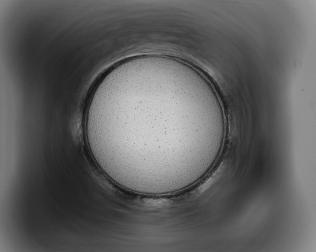 X0000099931498200805301148