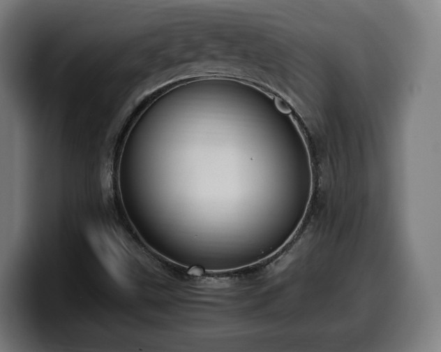 X0000099931499200805301148