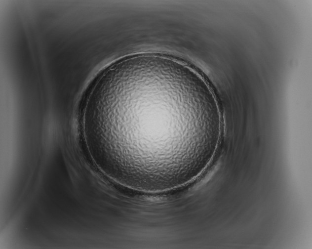 X0000099931501200805301148