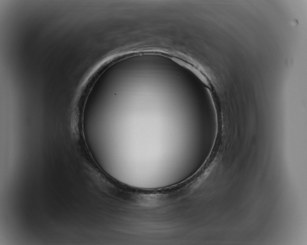 X0000099931502200805301148