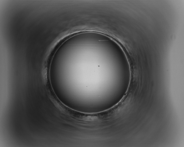 X0000099931503200805301148