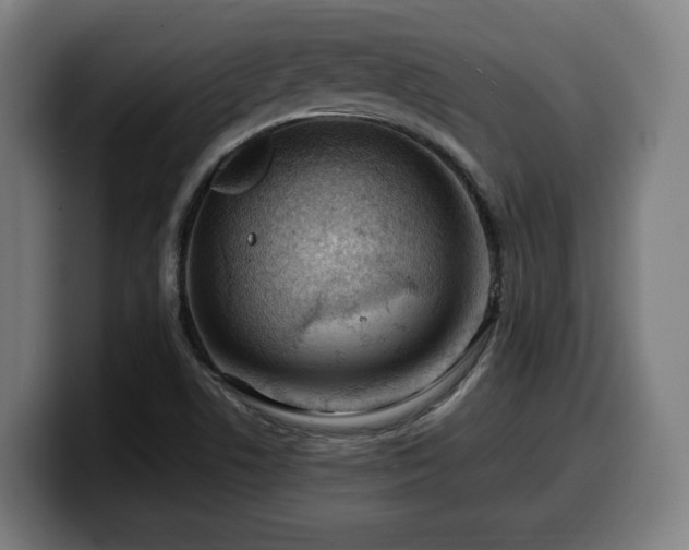 X0000099931506200805301148