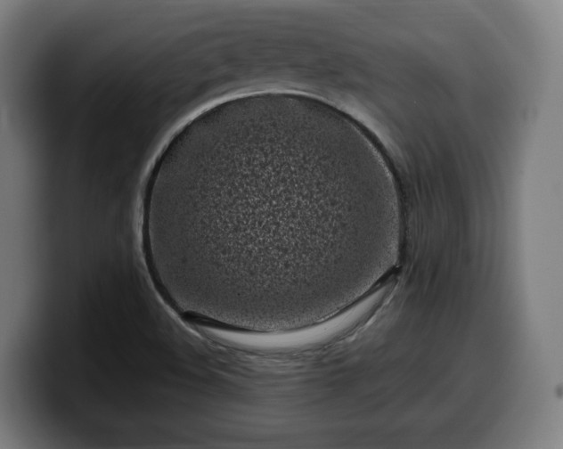 X0000099931508200805301148