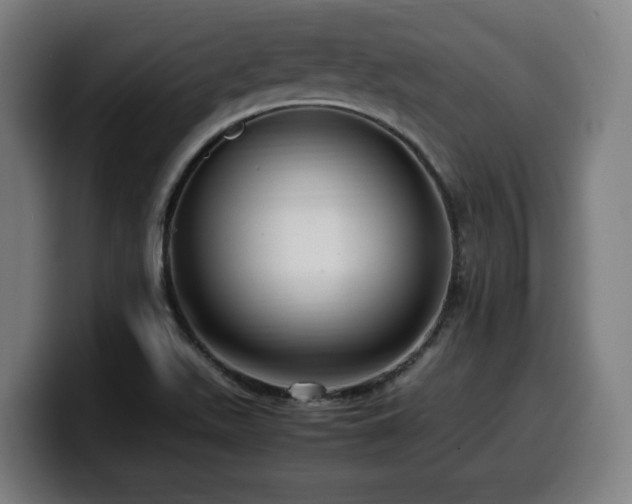 X0000099931511200805301148