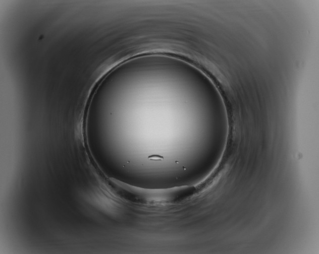 X0000099931513200805301148