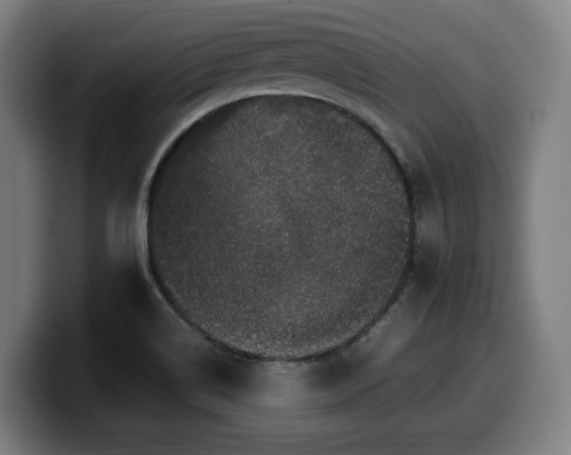 X0000099931514200805301148