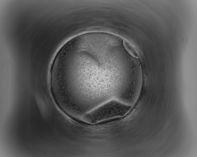 X0000099931527200805301148