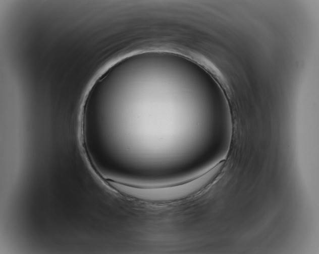 X0000099931528200805301148