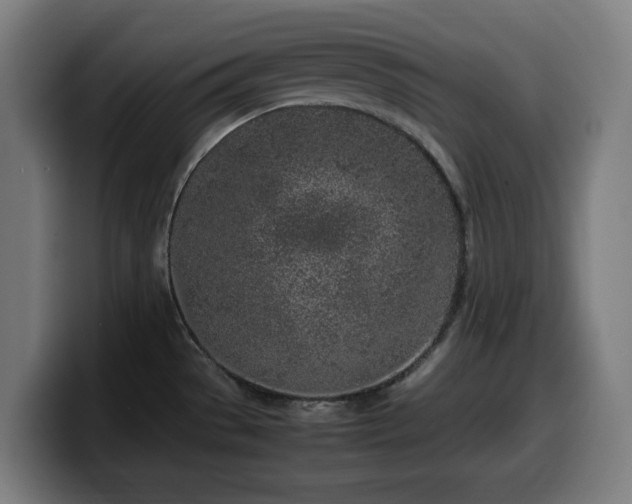 X0000099931529200805301148