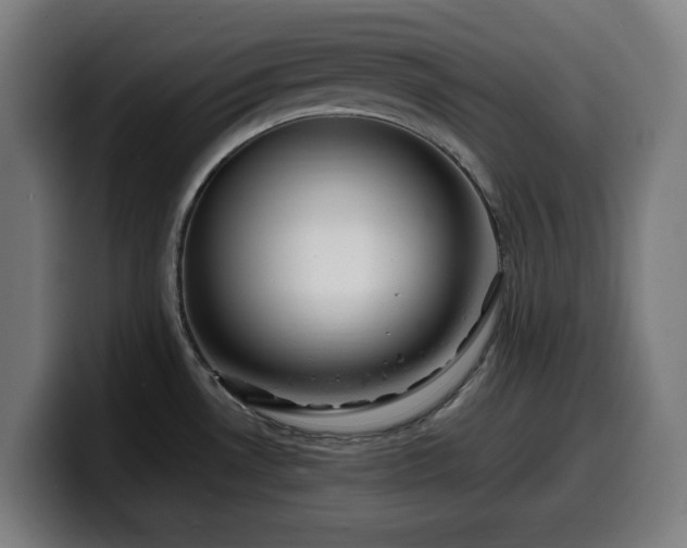 X0000099931530200805301148