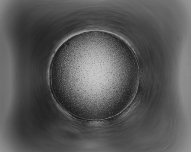 X0000099931535200805301148