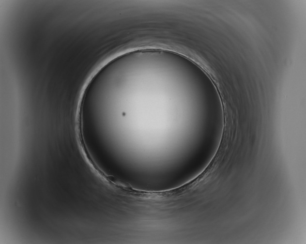 X0000099931536200805301148