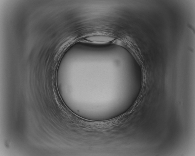 X0000099930001200806061505