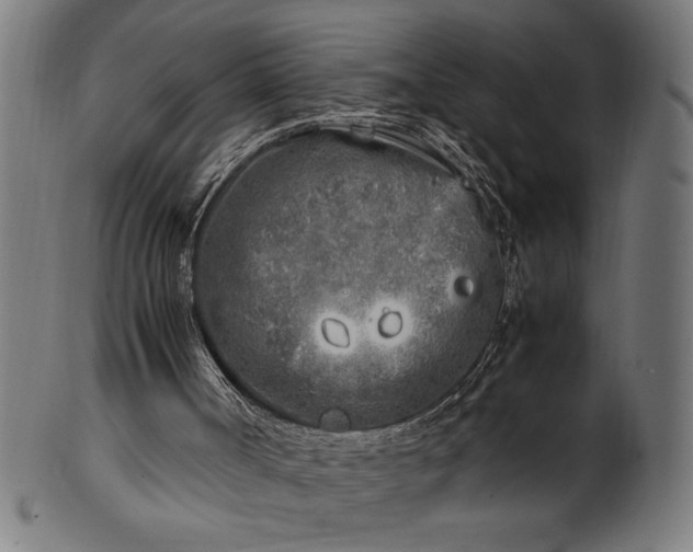 X0000099930002200806061505