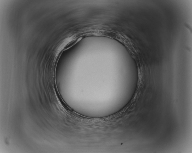 X0000099930003200806061505