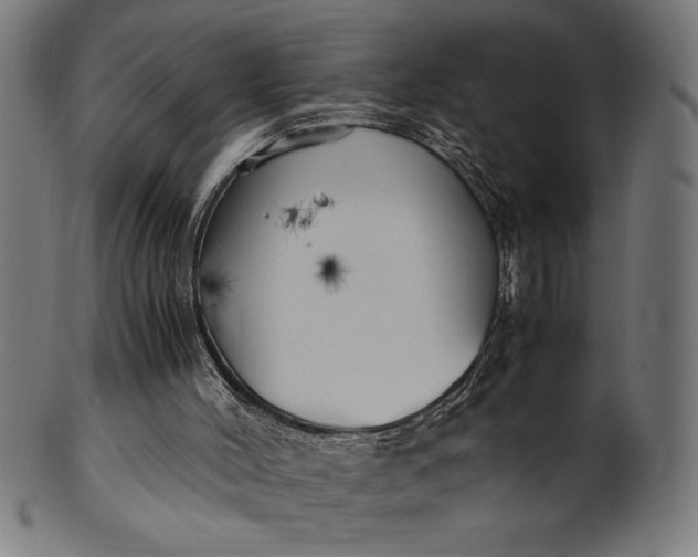 X0000099930004200806061505