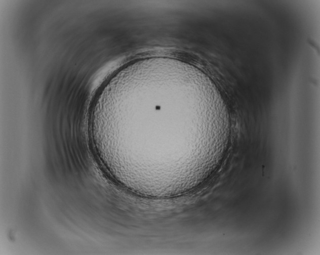 X0000099930006200806061505